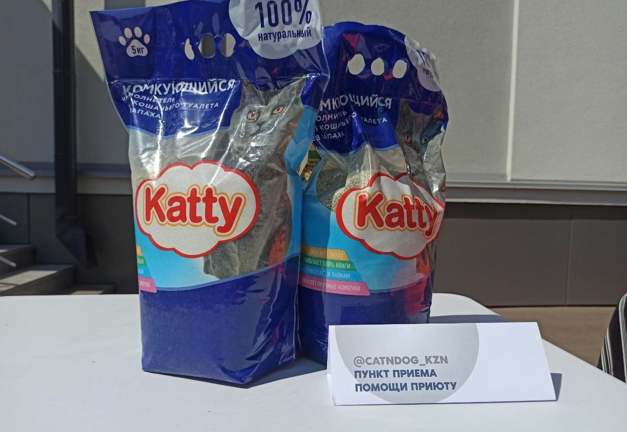 На своп-маркете Minimal собрали средства приюту для животных в рамках всероссийской «Зелёной эстафеты»