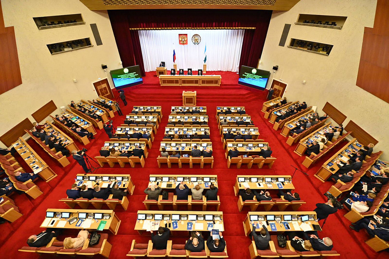 Руфина Шагапова: В текущей непростой экономической ситуации очень важно, чтобы проблемы экологии не отошли на второй план