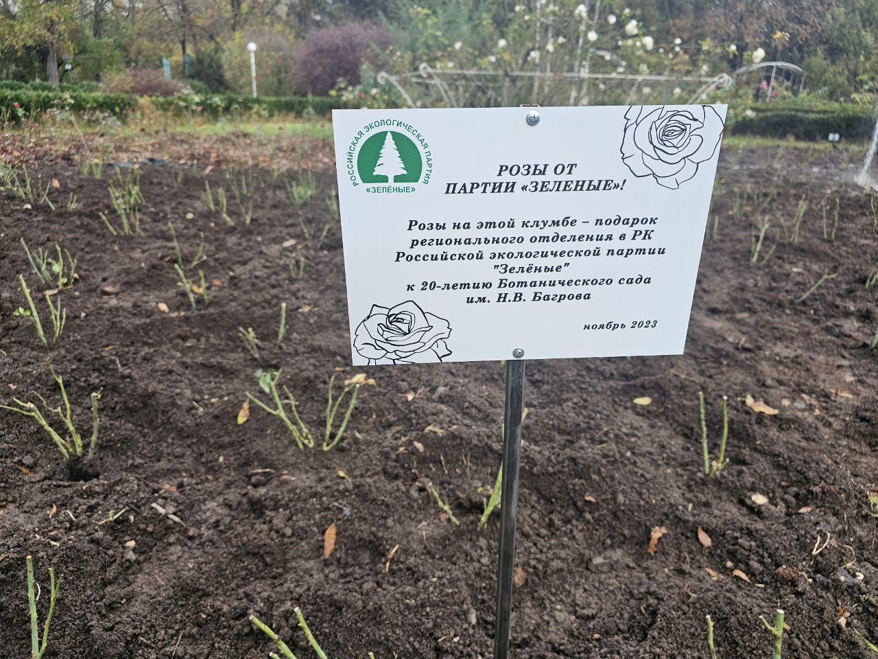 Крымские «ЗЕЛЁНЫЕ» высадили 330 роз и 60 деревьев Крымские «ЗЕЛЁНЫЕ» высадили 330 роз и 60 деревьев