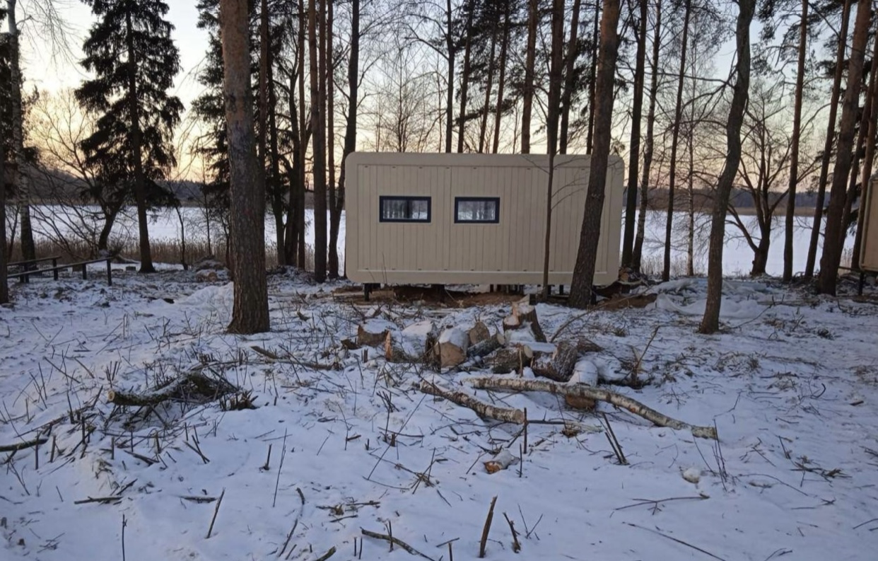 Российские «ЗЕЛЁНЫЕ» требуют остановить массовую вырубку деревьев не берегу Истринского водохранилища