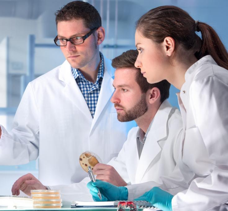 Партия «ЗЕЛЁНЫЕ» сделает ближе карьеру мечты для молодых экологов