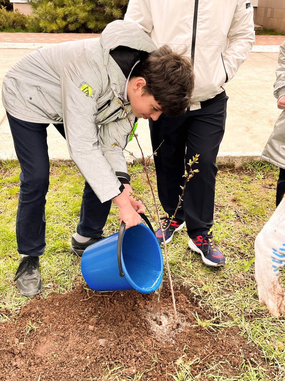 Крымские «ЗЕЛЁНЫЕ» высадили деревья в рамках акции «Сад памяти» Крымские «ЗЕЛЁНЫЕ» высадили деревья в рамках акции «Сад памяти»