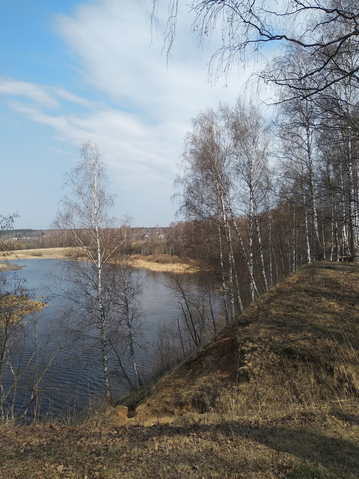 В Красносельском районе Костромской области пытаются спасти речку Покшу