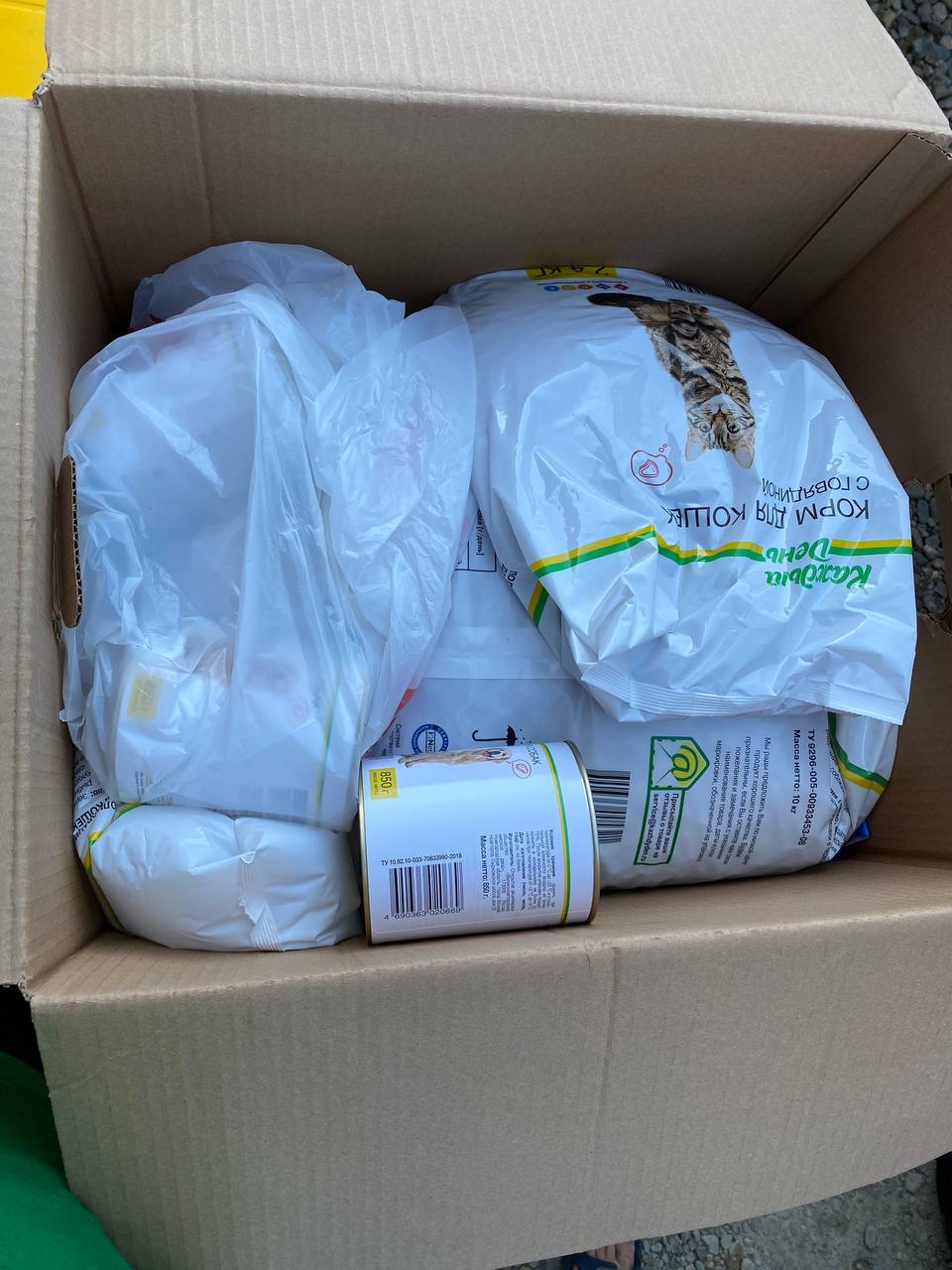 На «Зелёной субботе» жители Краснодара передали около 30 кг корма и подстилок бездомным животным в приют На «Зелёной субботе» жители Краснодара передали около 30 кг корма и подстилок бездомным животным в приют