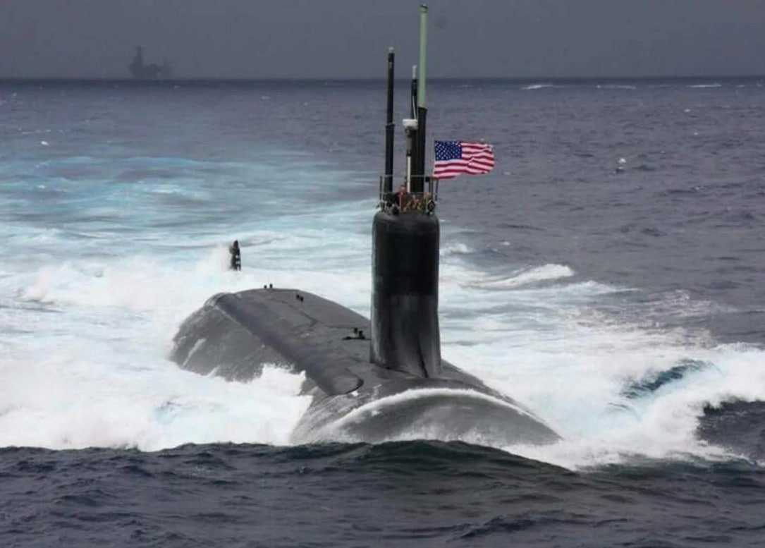 LENTA RU: Лидер партии «Зеленые» заявил о массовом уничтожении китов силами НАТО LENTA RU: Лидер партии «Зеленые» заявил о массовом уничтожении китов силами НАТО