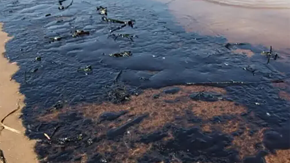 Андрей Нагибин: За нарушения платят все, кто их допускает