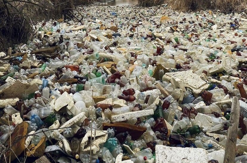 «ЗЕЛЁНЫЕ» требуют провести биореабилитацию реки Калаус в Ставрополье и найти виновных загрязнения