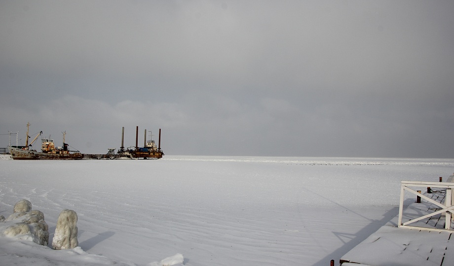 Экстренное заявление лидера российских «ЗЕЛЁНЫХ» Андрея Нагибина о внеплановой проверке в Краснодарском крае