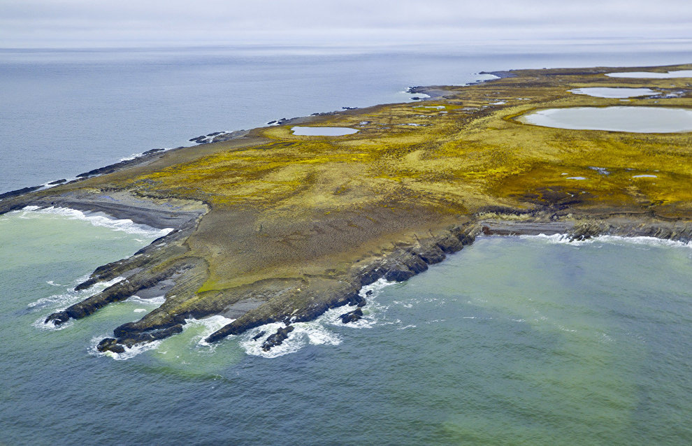 «ЗЕЛЁНЫЕ» поддержали эксперимент 15-летнего эколога Бориса Воловика по диспергированию нефти в арктических условиях