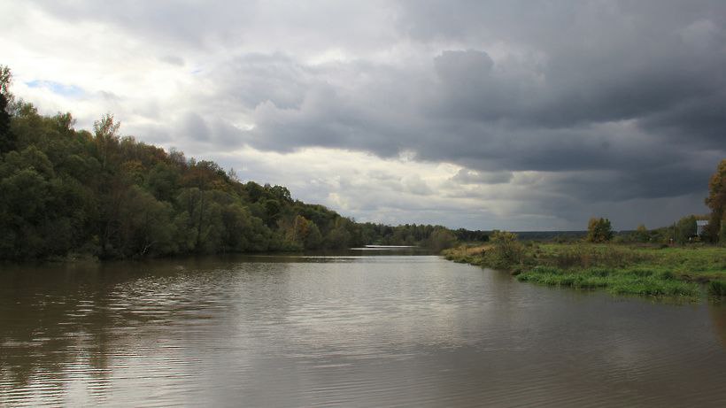 ТАСС: Партия "Зеленые" попросила власти Подмосковья расследовать загрязнение реки Мещериха ТАСС: Партия "Зеленые" попросила власти Подмосковья расследовать загрязнение реки Мещериха