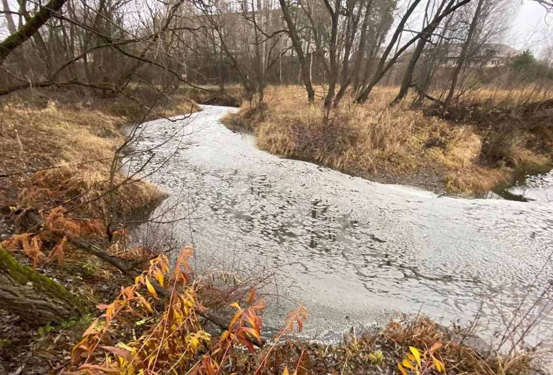 «ЗЕЛЁНЫЕ» требуют предотвратить экологическую катастрофу во Владимирской области