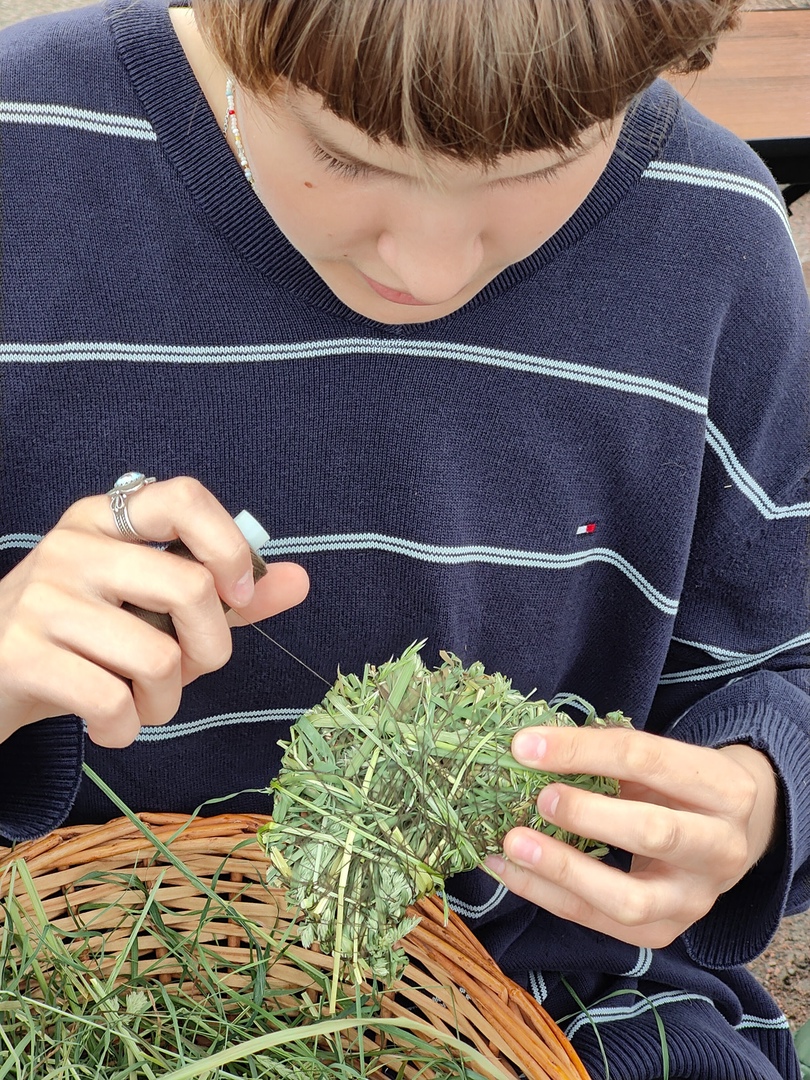 «Зелёная суббота» в Санкт-Петербурге собрала более 150 жителей культурной столицы «Зелёная суббота» в Санкт-Петербурге собрала более 150 жителей культурной столицы