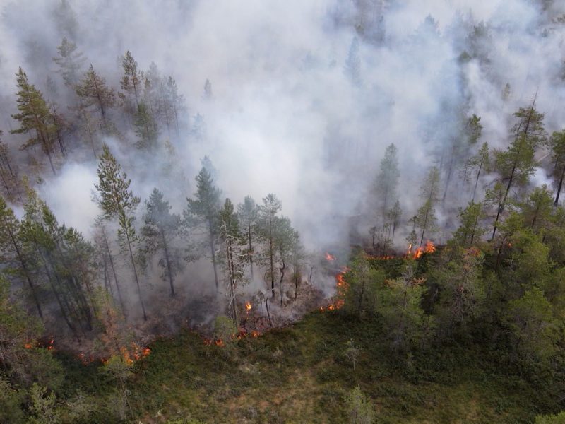 RUSSIA TODAY: Эколог Нагибин: рост числа пожаров в России происходит на фоне изменений климата RUSSIA TODAY: Эколог Нагибин: рост числа пожаров в России происходит на фоне изменений климата