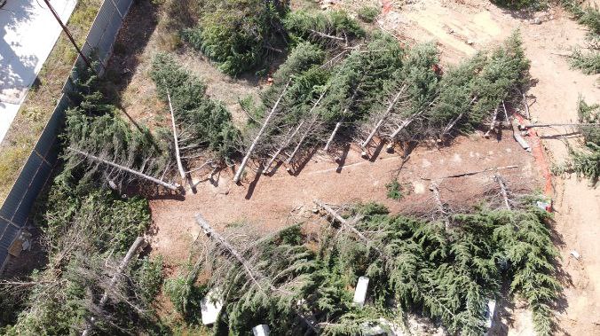 «ЗЕЛЁНЫЕ» обратились в генпрокуратуру с требованием остановить уничтожение парка в Казачьей бухте Севастополя