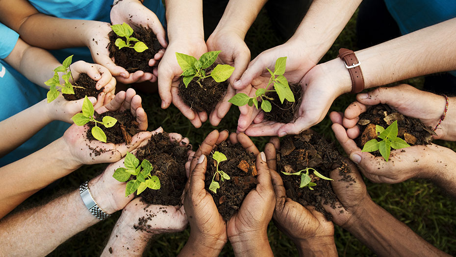Сергей Шахматов: Фонд экопроектов поможет продвигать общественные инициативы