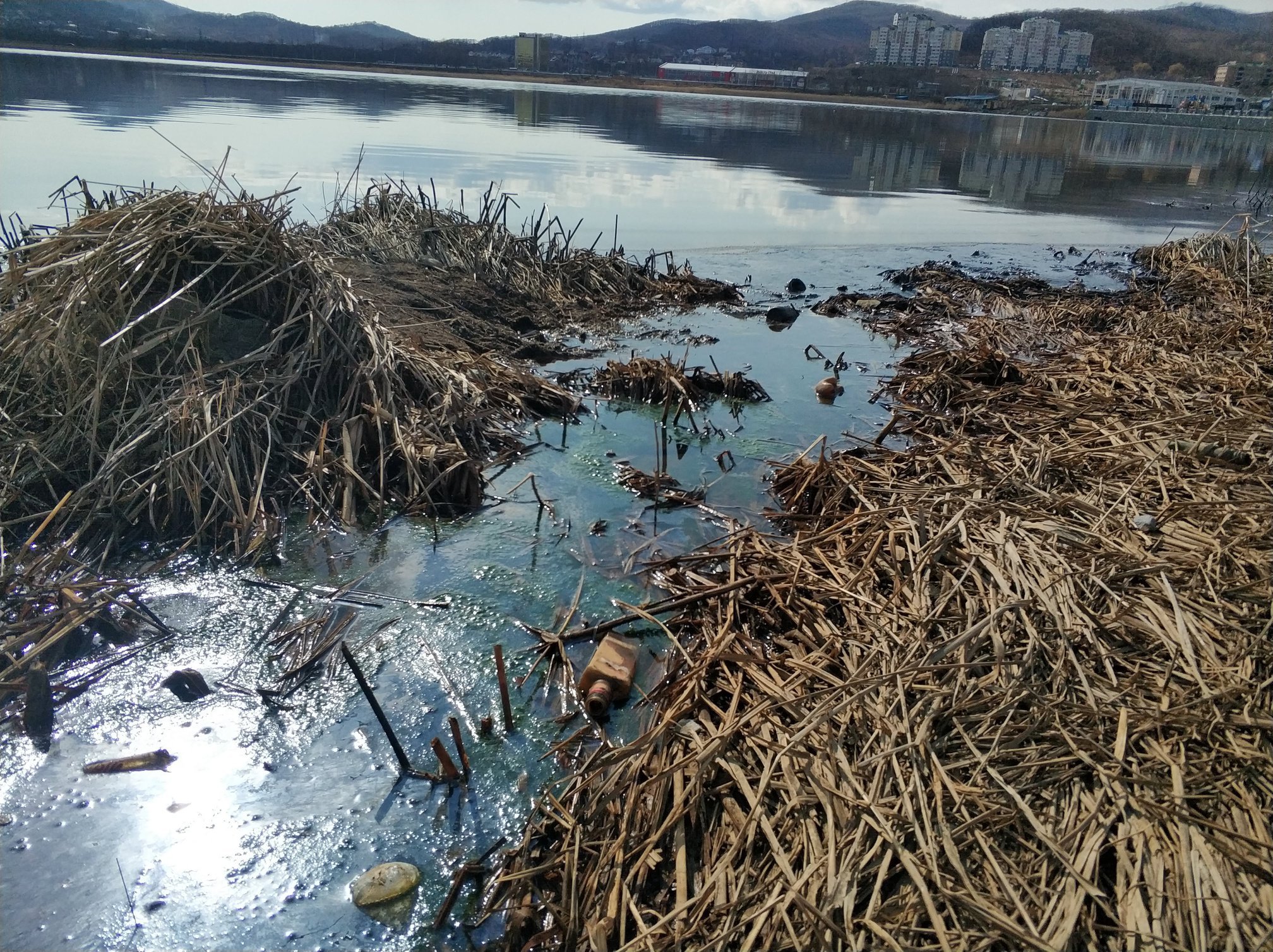 В Приморье «ЗЕЛЁНЫЕ» выступили за комплексные меры по очистке озера Солёное