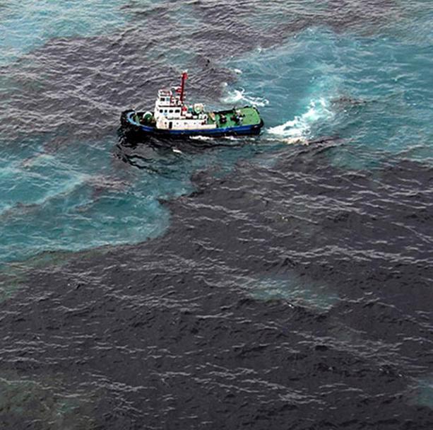 Нагибин: Кто ответит за отравленную нефтью экосистему Черного моря в Новороссийске?