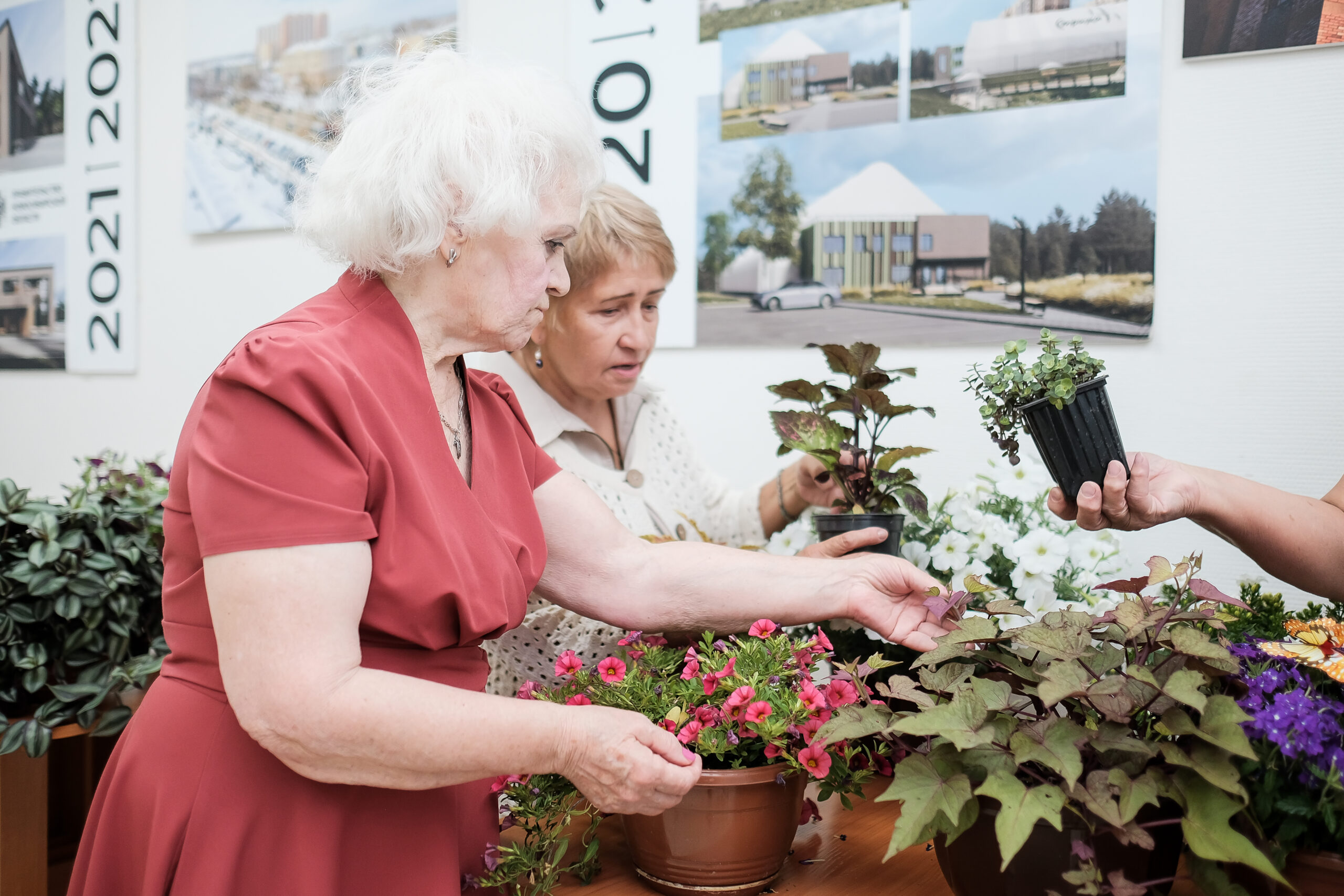 На «интерьерную» «Зелёную субботу» новосибирцы принесли несколько десятков растений На «интерьерную» «Зелёную субботу» новосибирцы принесли несколько десятков растений