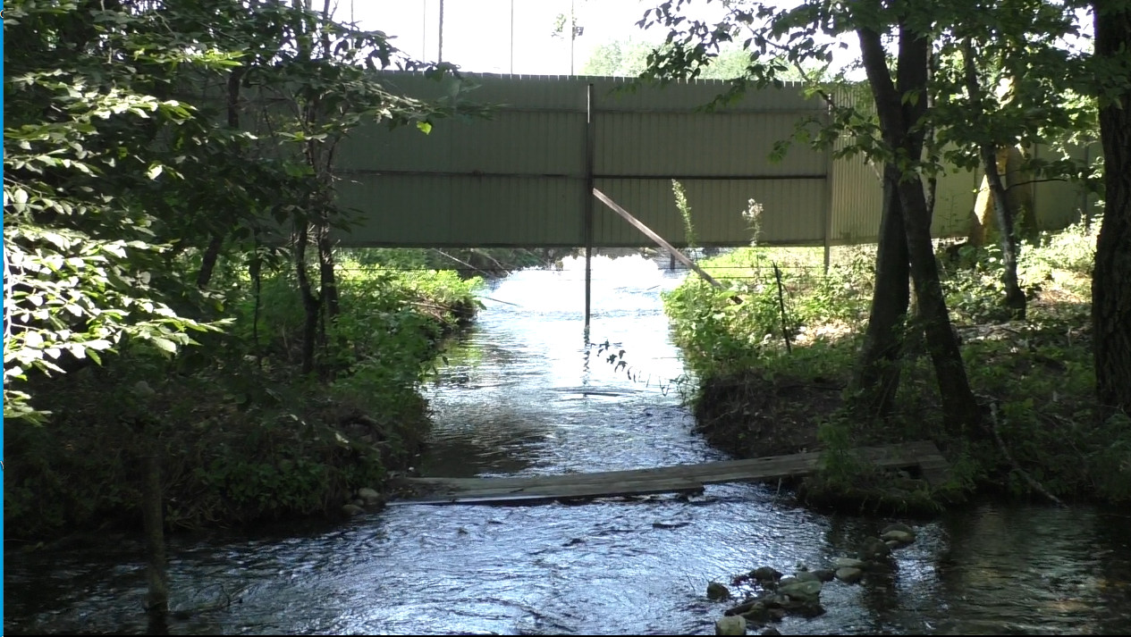 Краснодарские «ЗЕЛЁНЫЕ» обратились к прокурору края по поводу загрязнения реки Черной из-за работы рыбохозяйства Краснодарские «ЗЕЛЁНЫЕ» обратились к прокурору края по поводу загрязнения реки Черной из-за работы рыбохозяйства