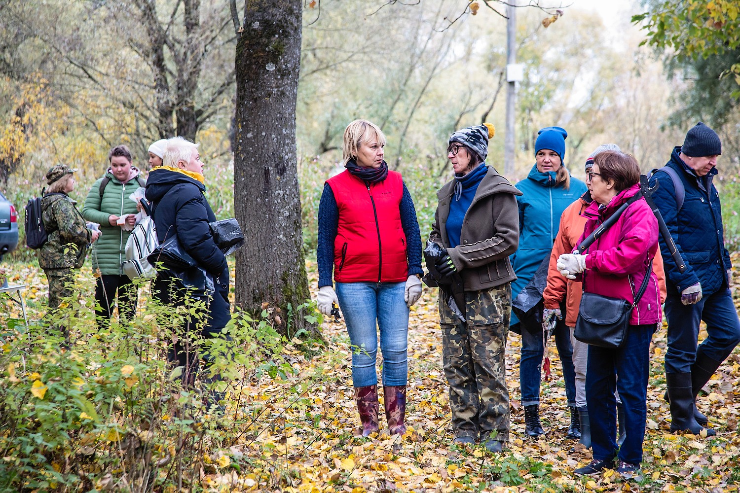 В Великом Новгороде на специализированной тропе для прогулок с собаками прошёл субботник В Великом Новгороде на специализированной тропе для прогулок с собаками прошёл субботник