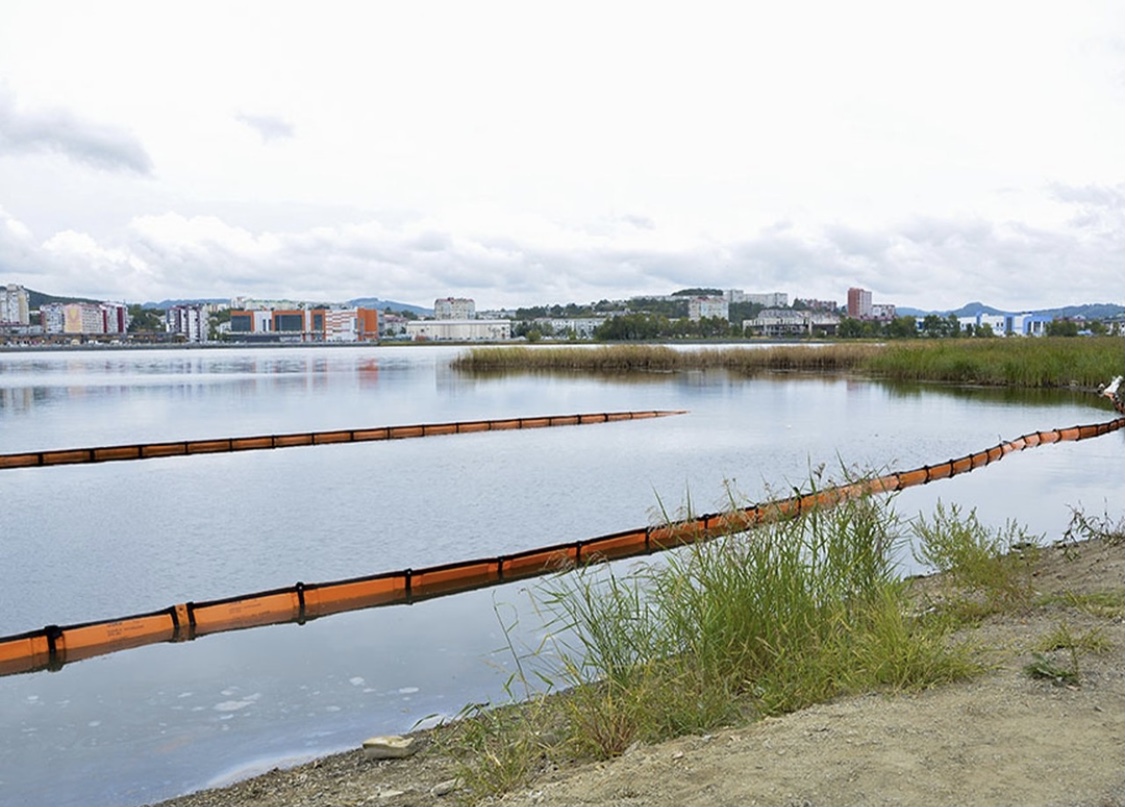 В Находке при успешном испытании препарата на озере Солёном разработают программу реабилитации озера