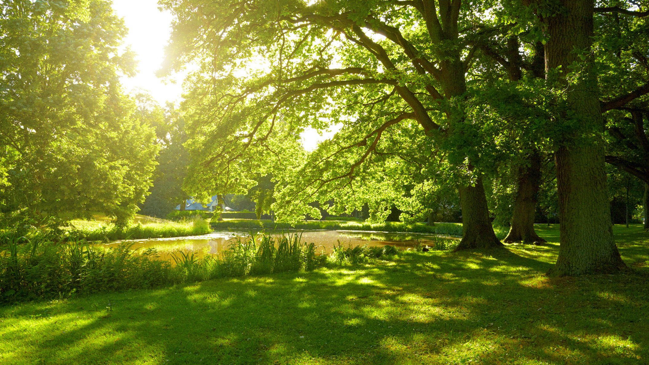 Обязательные общественные слушания при планировании работ в парках Москвы