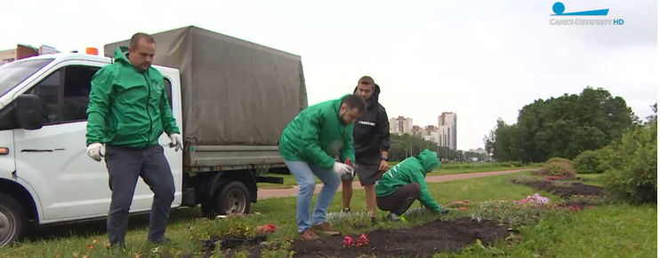 Кандидат в губернаторы Петербурга от партии «ЗЕЛЁНЫЕ» Павел Брагин принял участие в высадке цветов на проспекте Стачек Кандидат в губернаторы Петербурга от партии «ЗЕЛЁНЫЕ» Павел Брагин принял участие в высадке цветов на проспекте Стачек