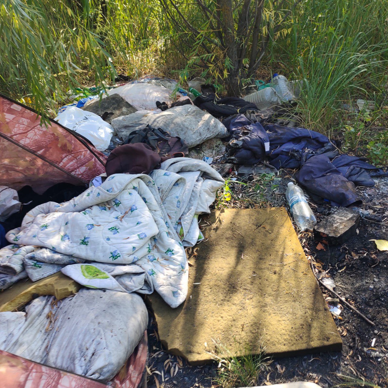 «ЗЕЛЁНЫЕ» призывают властей Казани убрать мусор с берегов озера Кабан «ЗЕЛЁНЫЕ» призывают властей Казани убрать мусор с берегов озера Кабан