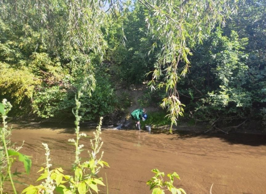 После вмешательства «ЗЕЛЁНЫХ» природоохранная прокуратура взяла на контроль вопрос о загрязнении рек Була и Кепе в Чувашии