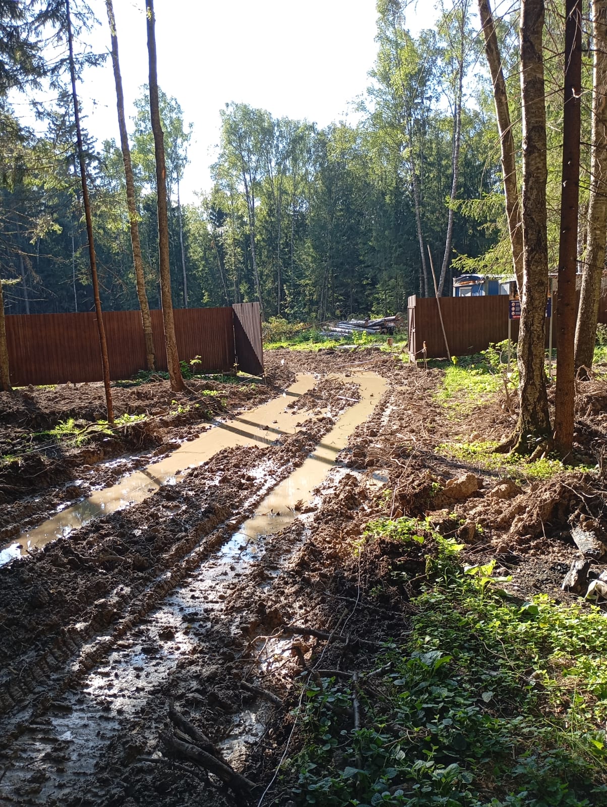 «ЗЕЛЁНЫЕ» изучат вопрос о вырубке деревьев около СНТ «Прибор» в Апрелевке