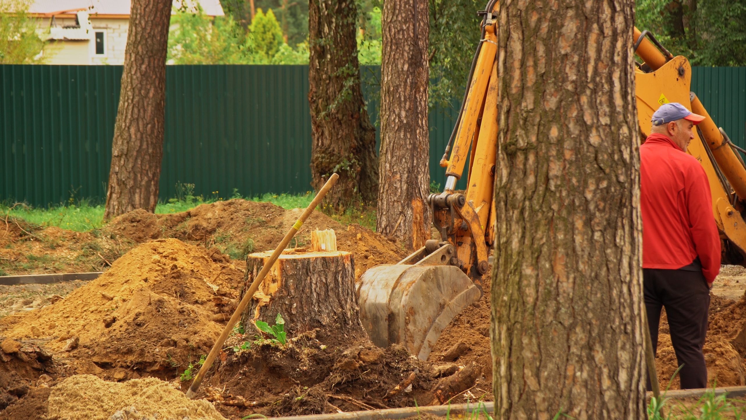 «ЗЕЛЁНЫЕ» проверят законность вырубки вековых сосен около школы в посёлке Монино «ЗЕЛЁНЫЕ» проверят законность вырубки вековых сосен около школы в посёлке Монино