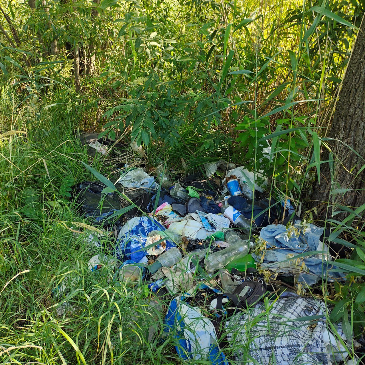 «ЗЕЛЁНЫЕ» призывают властей Казани убрать мусор с берегов озера Кабан