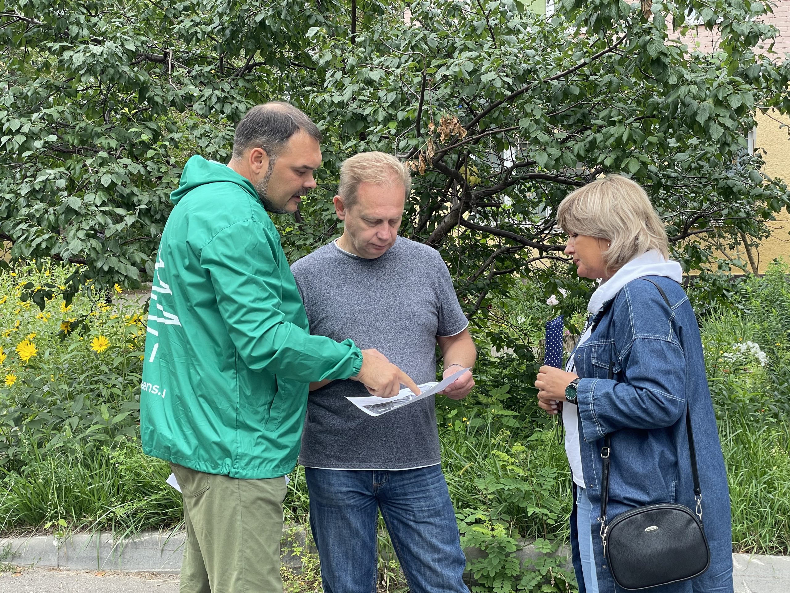 «ЗЕЛЁНЫЕ» проверят законность вырубки вековых сосен около школы в посёлке Монино