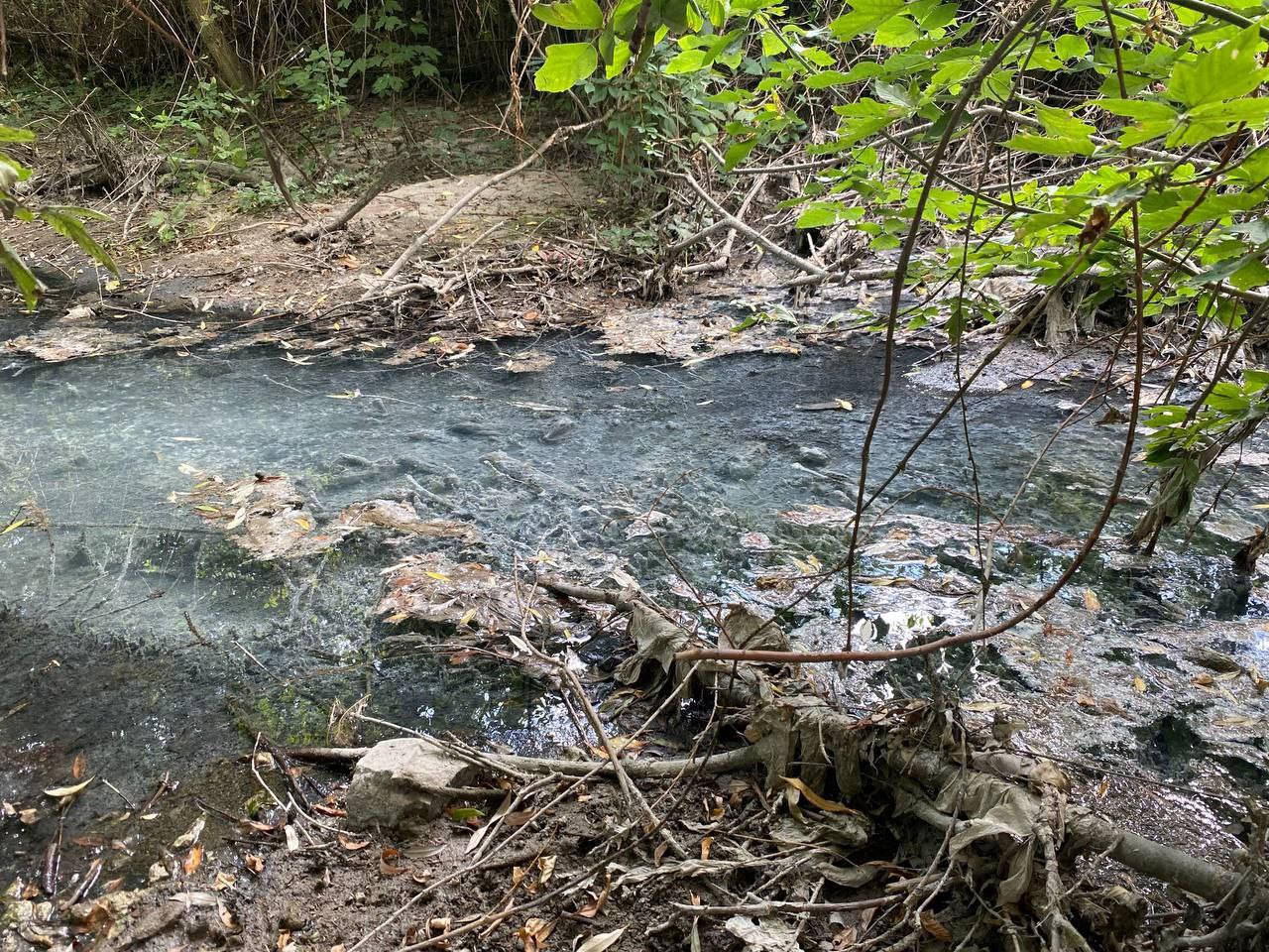 «ЗЕЛЁНЫЕ» говорят о необходимости очистки притока реки Славянка в Крыму «ЗЕЛЁНЫЕ» говорят о необходимости очистки притока реки Славянка в Крыму