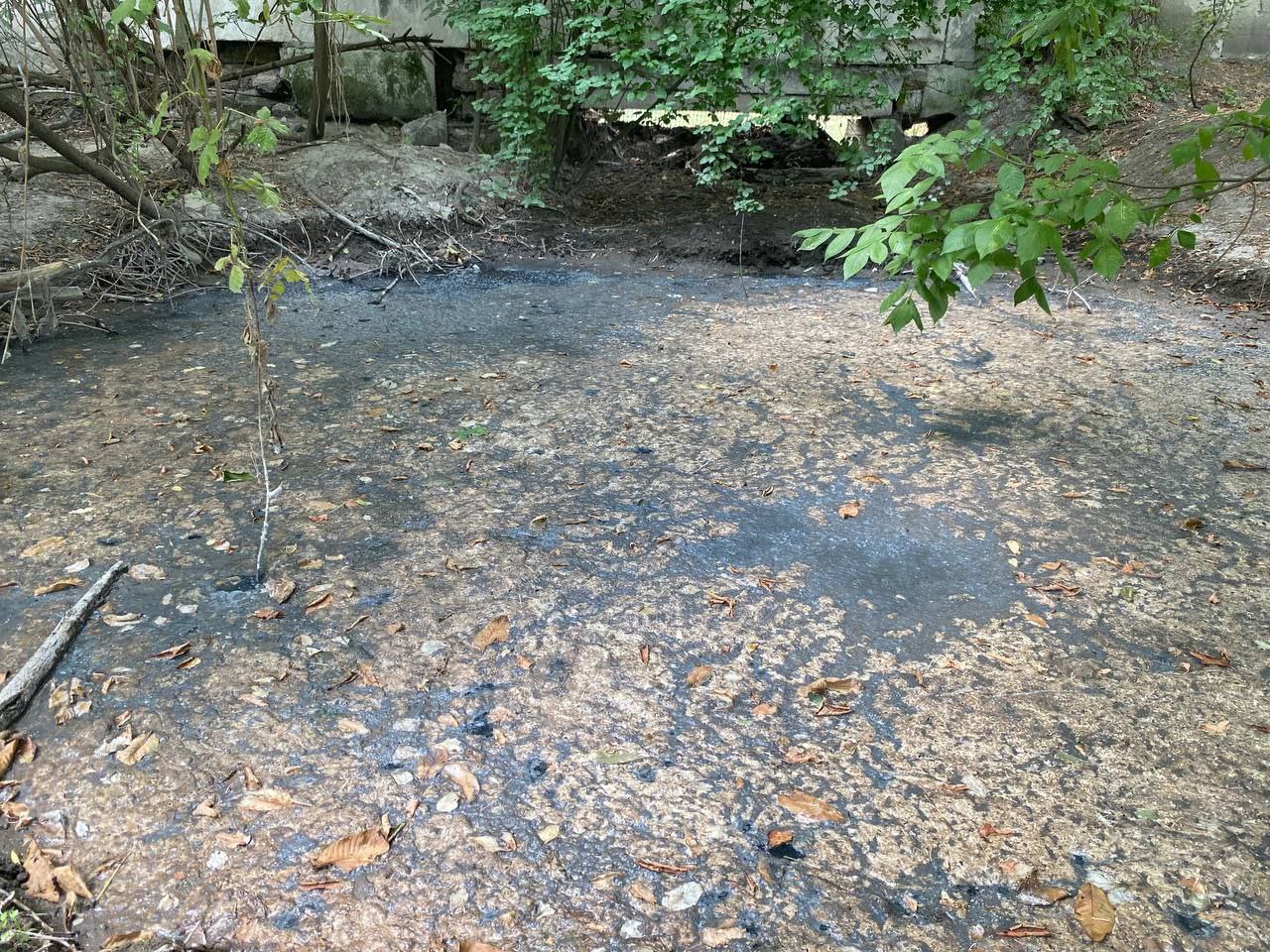 «ЗЕЛЁНЫЕ» говорят о необходимости очистки притока реки Славянка в Крыму «ЗЕЛЁНЫЕ» говорят о необходимости очистки притока реки Славянка в Крыму