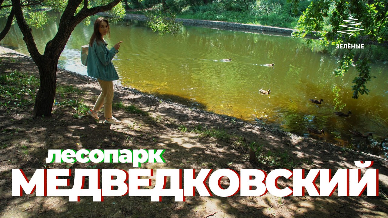 «ЗЕЛЁНЫЕ» провели проверку Медведковского лесопарка