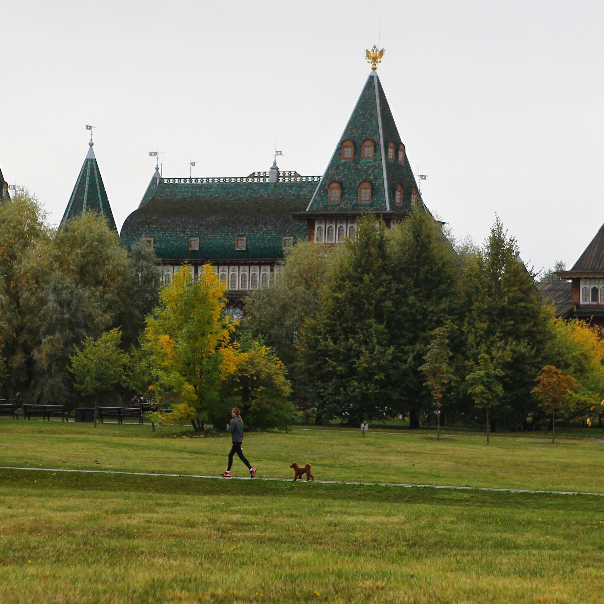 Прокуратура подтвердила выводы «ЗЕЛЁНЫХ» о нарушениях при благоустройстве Коломенского