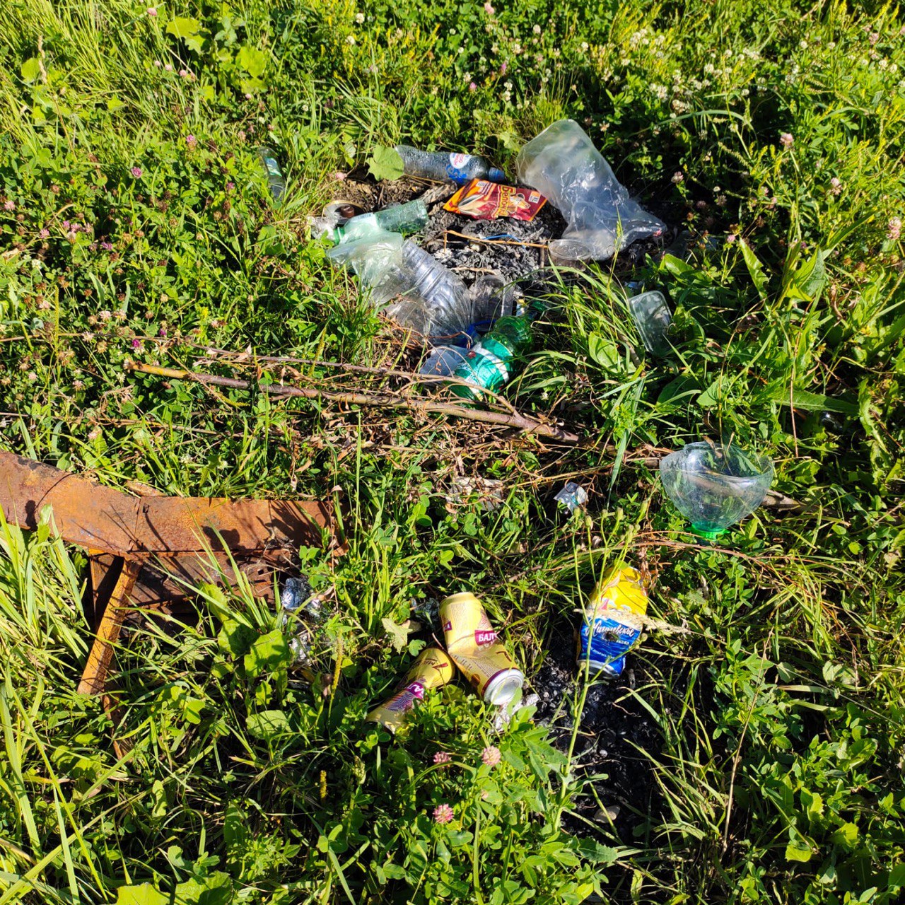 «ЗЕЛЁНЫЕ» призывают властей Казани убрать мусор с берегов озера Кабан «ЗЕЛЁНЫЕ» призывают властей Казани убрать мусор с берегов озера Кабан