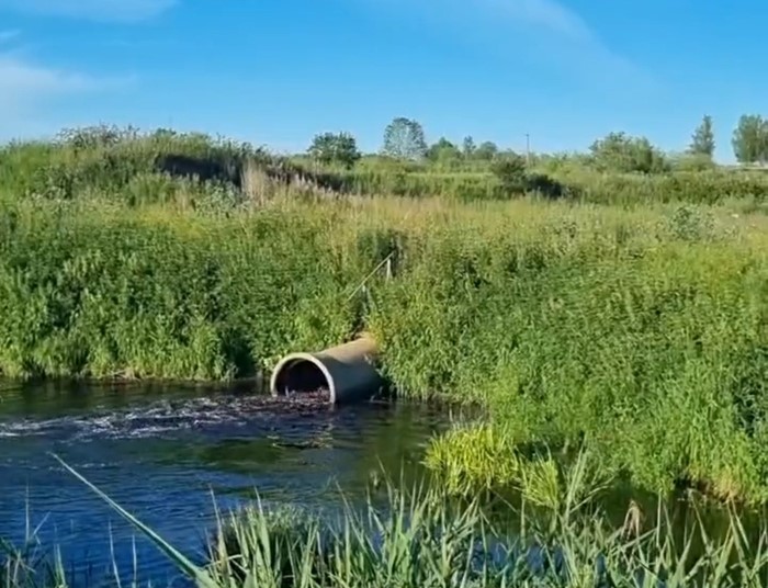 «ЗЕЛЁНЫЕ» намерены защитить приток Волги в Ивановской области