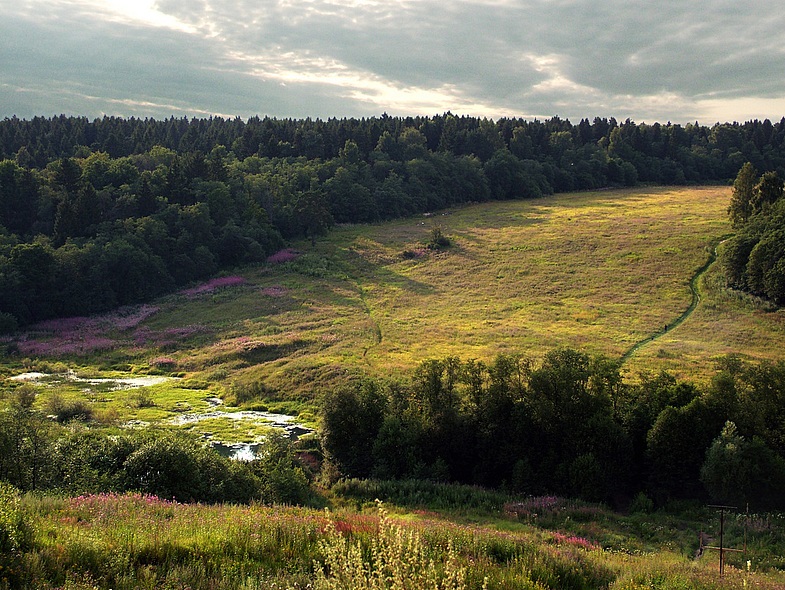 Правительство Московской области заверило «ЗЕЛЁНЫХ», что разрешений на строительство объектов на Черневской поляне не выдавалось