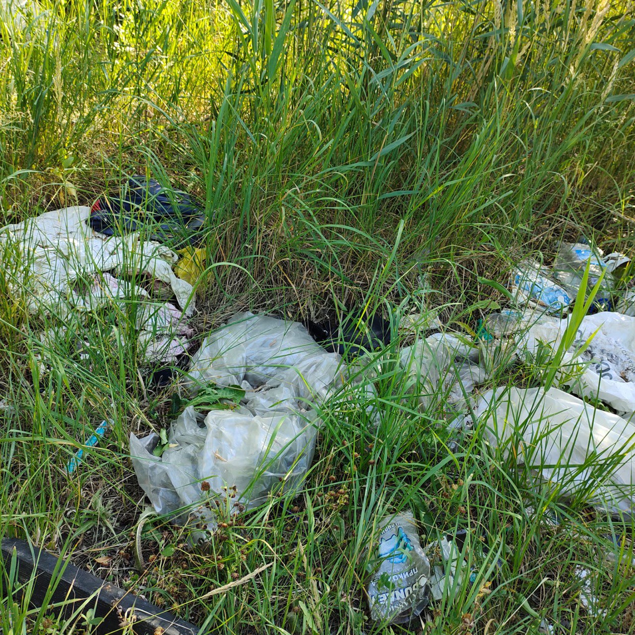 «ЗЕЛЁНЫЕ» призывают властей Казани убрать мусор с берегов озера Кабан «ЗЕЛЁНЫЕ» призывают властей Казани убрать мусор с берегов озера Кабан