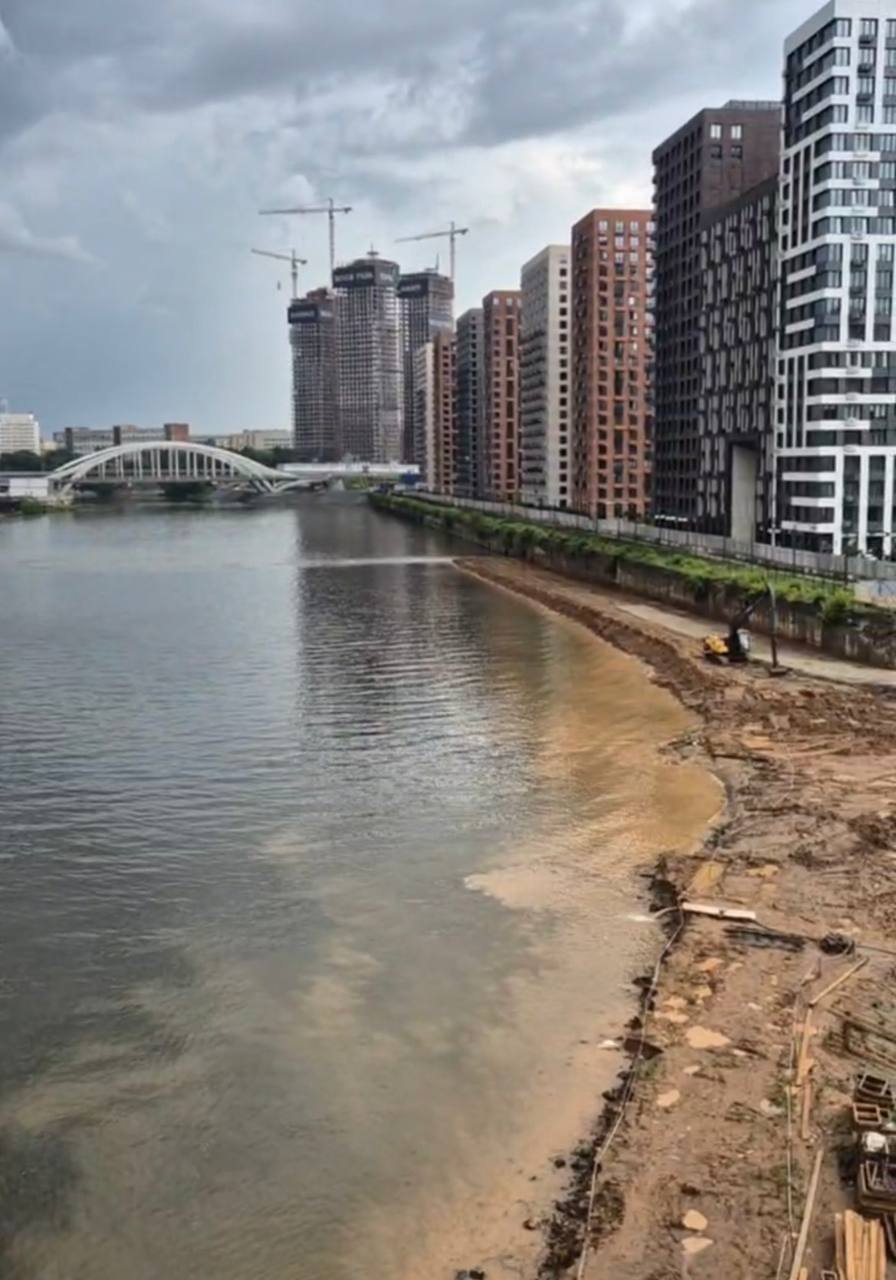 «ЗЕЛЁНЫЕ» обратились в природоохранные ведомства и Депстрой Москвы в связи с загрязнением застройщиками Москвы-реки напротив Москва-Сити