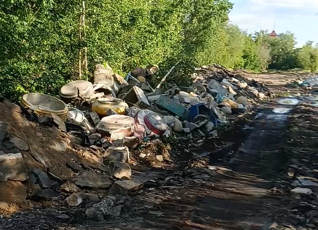 Управа района Отрадное устранит несанкционированную свалку после вмешательства «ЗЕЛЁНЫХ»