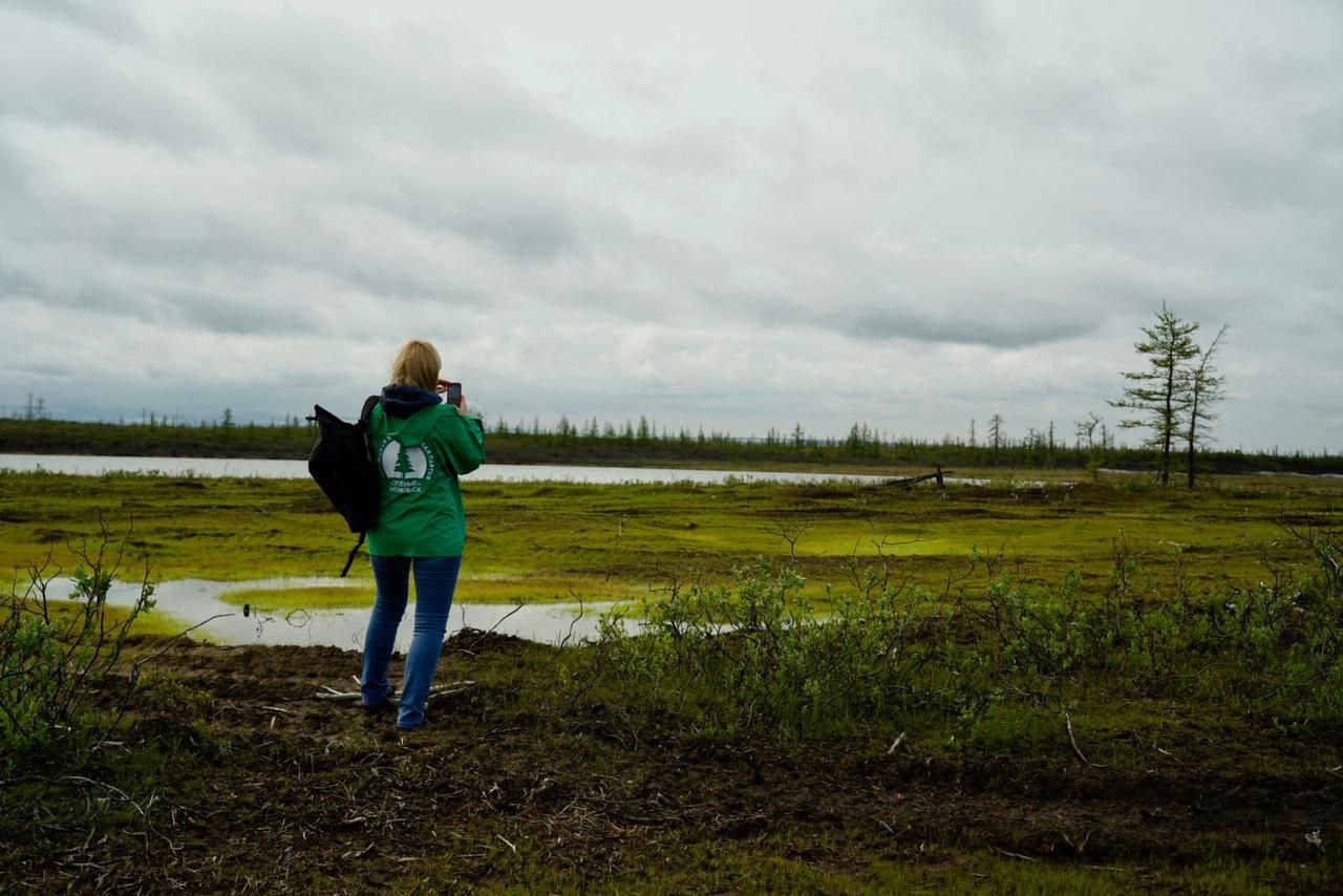В годовщину экологической катастрофы в Норильске «ЗЕЛЁНЫЕ» поднимают вопрос системного мониторинга арктических грунтов