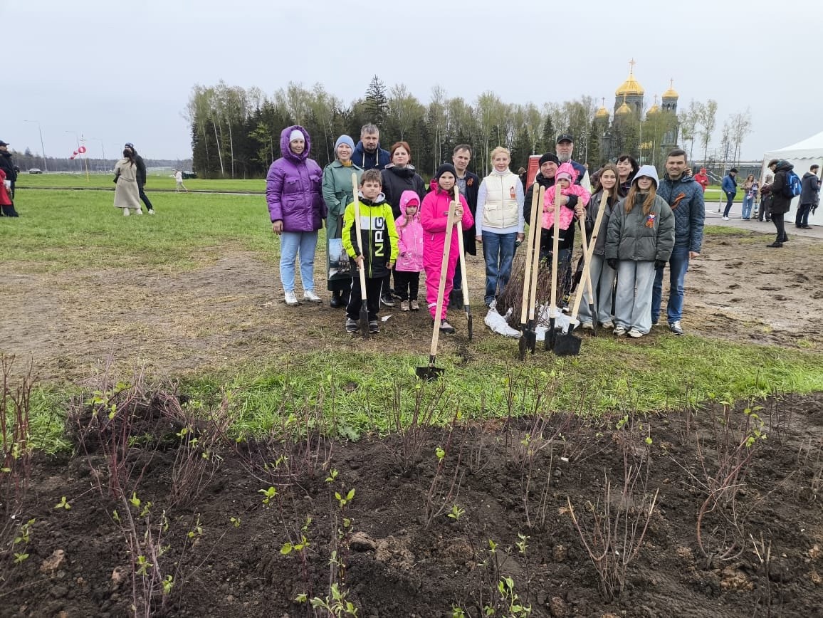 Подмосковные «ЗЕЛЁНЫЕ» приняли участие в высадке геоглифа честь 80-летия Победы