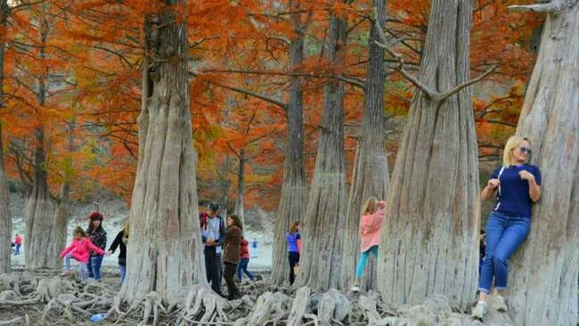 Партия «ЗЕЛЁНЫЕ» обратилась к властям Краснодарского края с просьбой усилить контроль за охраной Кипарисового озера