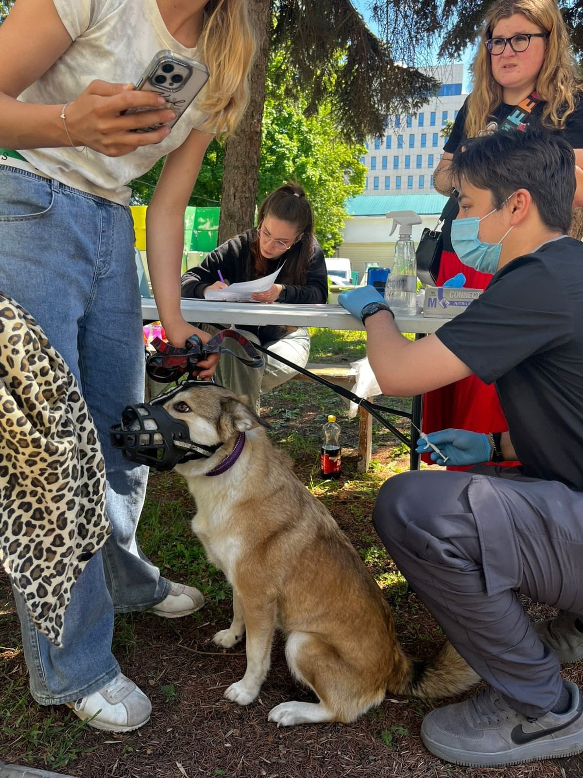 В Башкортостане в рамках акции «Зелёная суббота» провели мероприятие по чипированию животных