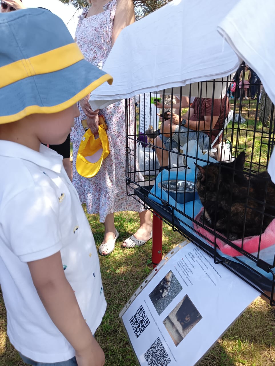 «ЗЕЛЁНЫЕ» провели в Уфе акцию «Отдам кошку в добрые руки»