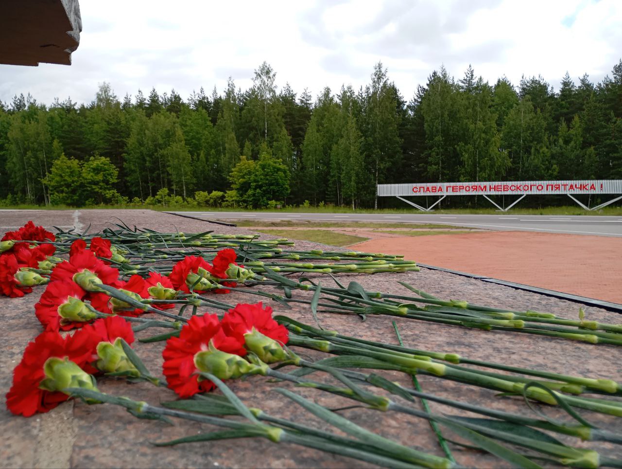 Ленинградское отделение партии «ЗЕЛЁНЫЕ» выдвинуло кандидатуру Сергея Лисовского на пост губернатора Ленинградское отделение партии «ЗЕЛЁНЫЕ» выдвинуло кандидатуру Сергея Лисовского на пост губернатора