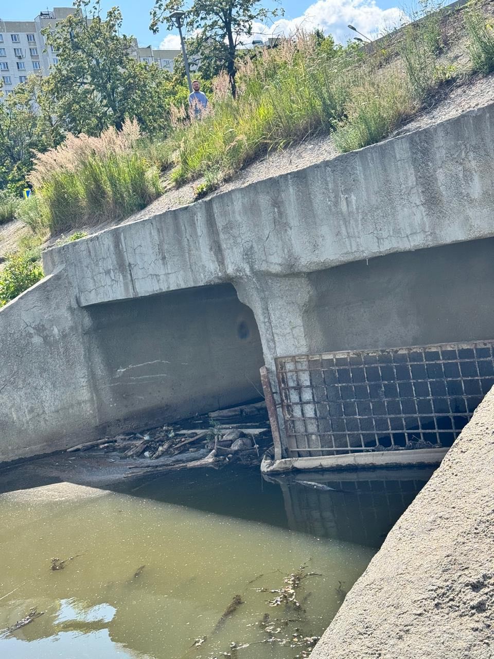 Московские «ЗЕЛЁНЫЕ» обратилась в природоохранные ведомства по факту угрозы биоразнообразию Верхнего Люблинского пруда Московские «ЗЕЛЁНЫЕ» обратилась в природоохранные ведомства по факту угрозы биоразнообразию Верхнего Люблинского пруда